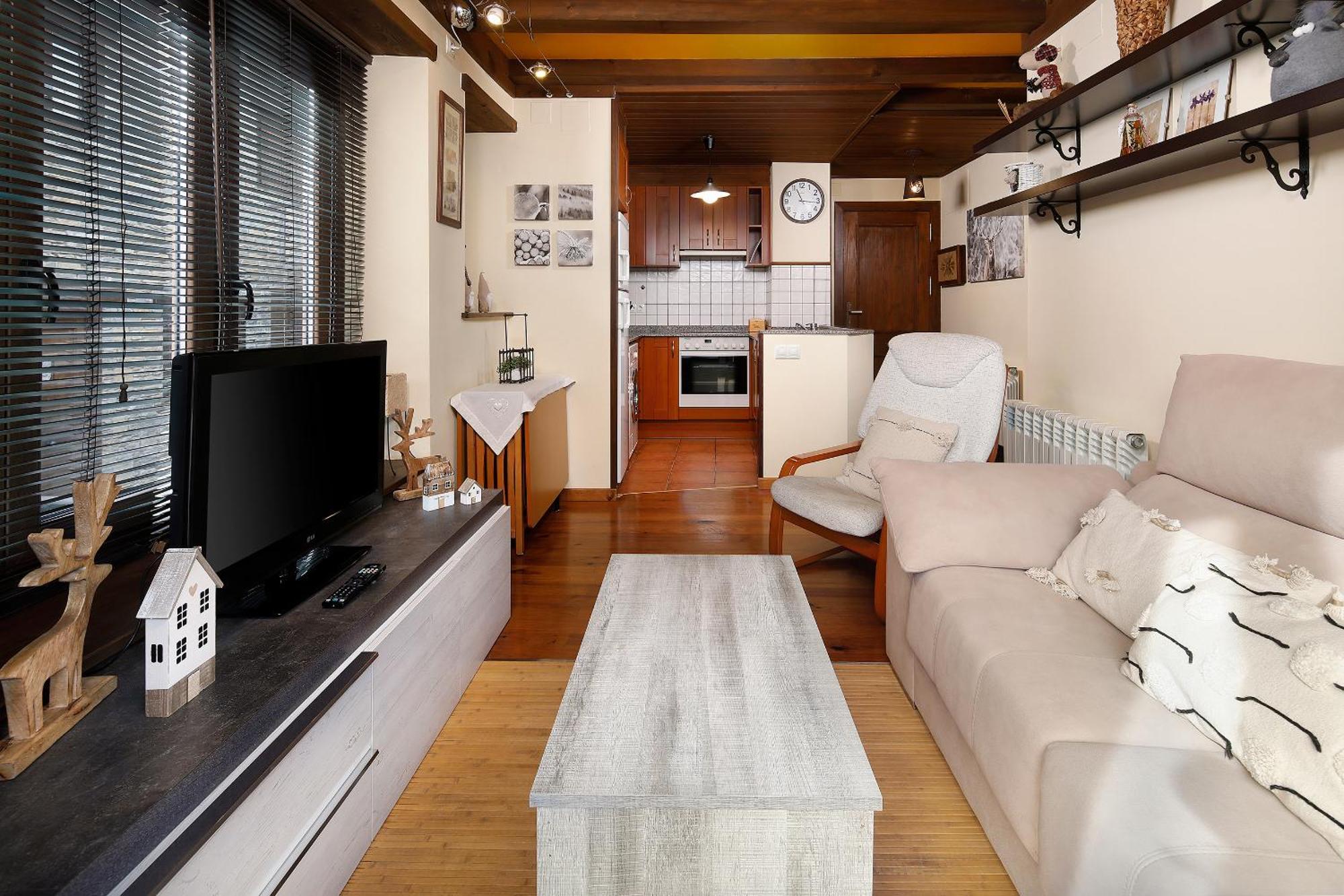 Apartamento La Santeta De Aran ビエルハ エクステリア 写真